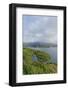 View of Bay from Forte Focardo, Porto Azzurro, Italy-Guido Cozzi-Framed Photographic Print