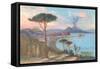 View of Bay of Naples, Italy-null-Framed Stretched Canvas