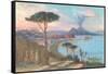 View of Bay of Naples, Italy-null-Framed Stretched Canvas