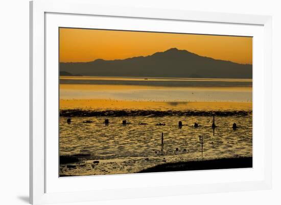 View of bay with feeding waders at sunset, Mount Tamalpais, Pinole Point, San Francisco Bay-Bob Gibbons-Framed Photographic Print