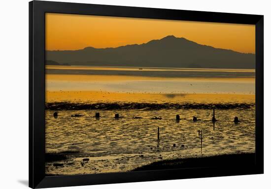 View of bay with feeding waders at sunset, Mount Tamalpais, Pinole Point, San Francisco Bay-Bob Gibbons-Framed Photographic Print