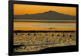 View of bay with feeding waders at sunset, Mount Tamalpais, Pinole Point, San Francisco Bay-Bob Gibbons-Framed Photographic Print