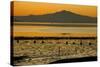 View of bay with feeding waders at sunset, Mount Tamalpais, Pinole Point, San Francisco Bay-Bob Gibbons-Stretched Canvas