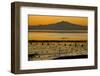 View of bay with feeding waders at sunset, Mount Tamalpais, Pinole Point, San Francisco Bay-Bob Gibbons-Framed Photographic Print