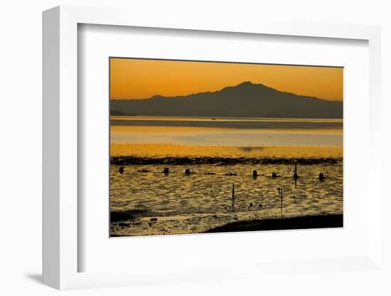 View of bay with feeding waders at sunset, Mount Tamalpais, Pinole Point, San Francisco Bay-Bob Gibbons-Framed Photographic Print