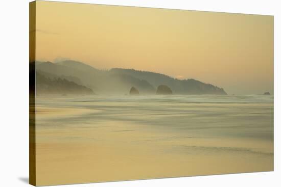 View of beach and distant sea stacks at dusk, Cannon Beach, Oregon, USA-Bill Coster-Stretched Canvas