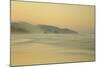 View of beach and distant sea stacks at dusk, Cannon Beach, Oregon, USA-Bill Coster-Mounted Photographic Print