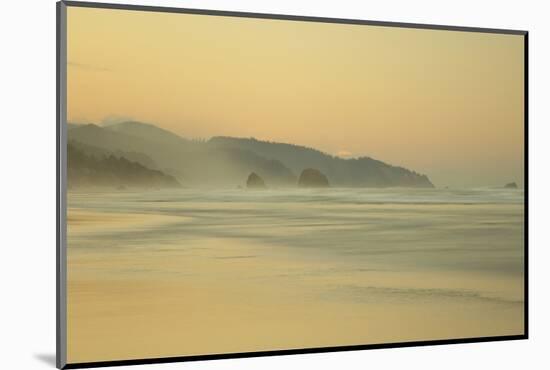 View of beach and distant sea stacks at dusk, Cannon Beach, Oregon, USA-Bill Coster-Mounted Photographic Print
