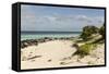 View of Beach and Sea of Zanj, Ihla Das Rolas, Mozambique-Alida Latham-Framed Stretched Canvas