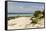 View of Beach and Sea of Zanj, Ihla Das Rolas, Mozambique-Alida Latham-Framed Stretched Canvas