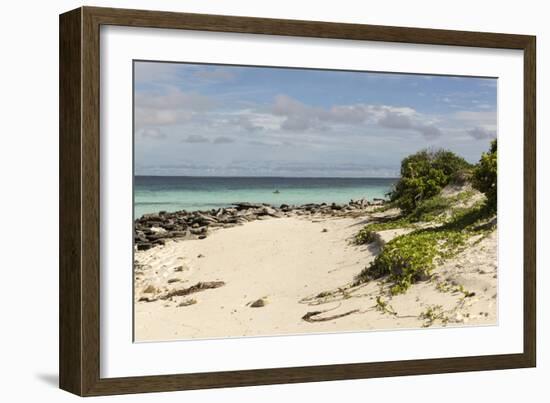 View of Beach and Sea of Zanj, Ihla Das Rolas, Mozambique-Alida Latham-Framed Photographic Print