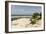 View of Beach and Sea of Zanj, Ihla Das Rolas, Mozambique-Alida Latham-Framed Photographic Print