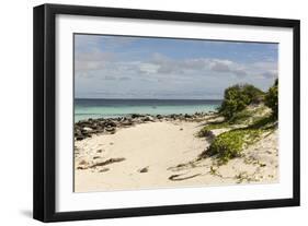 View of Beach and Sea of Zanj, Ihla Das Rolas, Mozambique-Alida Latham-Framed Photographic Print