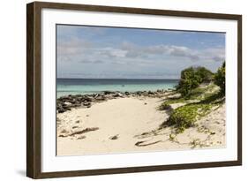 View of Beach and Sea of Zanj, Ihla Das Rolas, Mozambique-Alida Latham-Framed Photographic Print