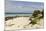 View of Beach and Sea of Zanj, Ihla Das Rolas, Mozambique-Alida Latham-Mounted Photographic Print