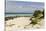 View of Beach and Sea of Zanj, Ihla Das Rolas, Mozambique-Alida Latham-Stretched Canvas