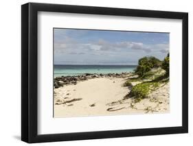 View of Beach and Sea of Zanj, Ihla Das Rolas, Mozambique-Alida Latham-Framed Photographic Print