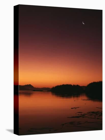 View of Beach at Dawn, Vancouver Island, British Columbia-Stuart Westmorland-Stretched Canvas