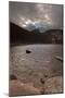 View of Bear Lake in Rocky Mountain National Park-Anna Miller-Mounted Photographic Print