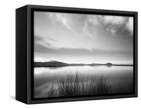 View of Bear River at Dusk, Cache Valley, Great Basin, Utah, USA-Scott T. Smith-Framed Stretched Canvas