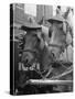 View of Beer Wagon Horses Wearing Straw Hats to Shade their Eyes from the Sun-John Phillips-Stretched Canvas