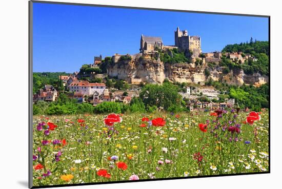 View of Beynac Castle in Beynac-et-Cazenac on Dordogne River-null-Mounted Art Print