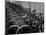 View of Bicycles from a Story Concerning Italy-Thomas D^ Mcavoy-Mounted Photographic Print