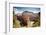 View of Big Bend, Observation Point, and the Virgin River in Zion National Park, Utah-Carlo Acenas-Framed Photographic Print