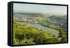 View of Bingen and River Rhine, Rhineland-Palatinate, Germany, Europe-Jochen Schlenker-Framed Stretched Canvas