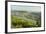 View of Bingen and River Rhine, Rhineland-Palatinate, Germany, Europe-Jochen Schlenker-Framed Photographic Print