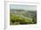 View of Bingen and River Rhine, Rhineland-Palatinate, Germany, Europe-Jochen Schlenker-Framed Photographic Print
