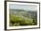 View of Bingen and River Rhine, Rhineland-Palatinate, Germany, Europe-Jochen Schlenker-Framed Photographic Print