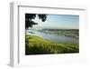 View of Bingen and River Rhine, Rhineland-Palatinate, Germany, Europe-Jochen Schlenker-Framed Photographic Print