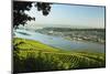 View of Bingen and River Rhine, Rhineland-Palatinate, Germany, Europe-Jochen Schlenker-Mounted Photographic Print