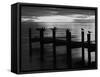 View of Birds on Pier at Sunset, Fort Myers, Florida, USA-Adam Jones-Framed Stretched Canvas