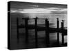 View of Birds on Pier at Sunset, Fort Myers, Florida, USA-Adam Jones-Stretched Canvas