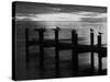 View of Birds on Pier at Sunset, Fort Myers, Florida, USA-Adam Jones-Stretched Canvas