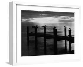 View of Birds on Pier at Sunset, Fort Myers, Florida, USA-Adam Jones-Framed Premium Photographic Print