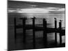 View of Birds on Pier at Sunset, Fort Myers, Florida, USA-Adam Jones-Mounted Premium Photographic Print