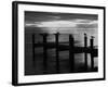 View of Birds on Pier at Sunset, Fort Myers, Florida, USA-Adam Jones-Framed Photographic Print