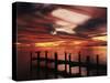 View of Birds on Pier at Sunset, Fort Myers, Florida, USA-Adam Jones-Stretched Canvas