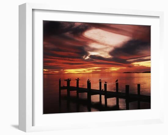 View of Birds on Pier at Sunset, Fort Myers, Florida, USA-Adam Jones-Framed Premium Photographic Print