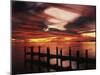 View of Birds on Pier at Sunset, Fort Myers, Florida, USA-Adam Jones-Mounted Premium Photographic Print