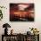 View of Birds on Pier at Sunset, Fort Myers, Florida, USA-Adam Jones-Photographic Print displayed on a wall