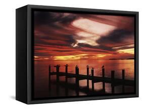 View of Birds on Pier at Sunset, Fort Myers, Florida, USA-Adam Jones-Framed Stretched Canvas
