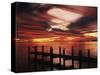 View of Birds on Pier at Sunset, Fort Myers, Florida, USA-Adam Jones-Stretched Canvas