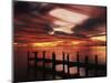 View of Birds on Pier at Sunset, Fort Myers, Florida, USA-Adam Jones-Mounted Photographic Print