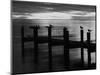 View of Birds on Pier at Sunset, Fort Myers, Florida, USA-Adam Jones-Mounted Photographic Print