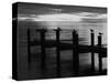 View of Birds on Pier at Sunset, Fort Myers, Florida, USA-Adam Jones-Stretched Canvas