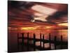 View of Birds on Pier at Sunset, Fort Myers, Florida, USA-Adam Jones-Stretched Canvas